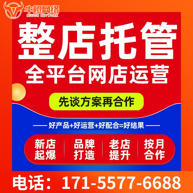 嵊州爱采购代运营