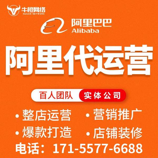 嵊州电商代运营
