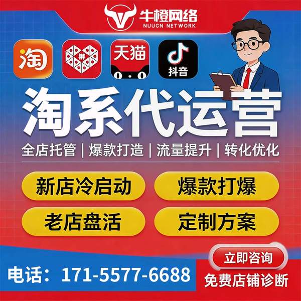 嵊州电商代运营