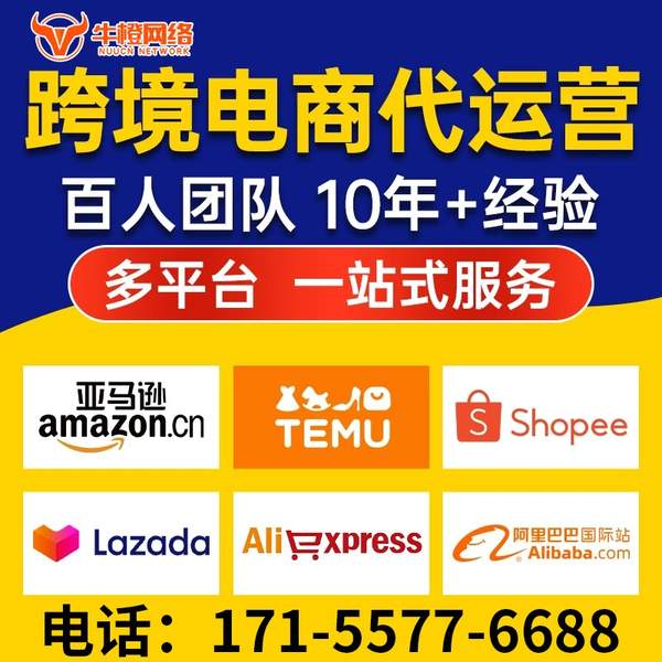 嵊州电商代运营