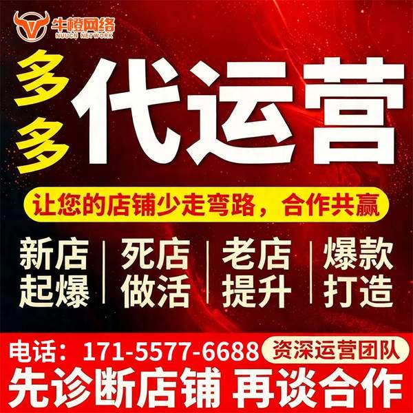 嵊州电商代运营