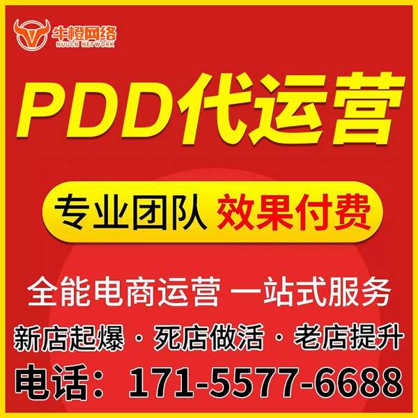嵊州电商代运营
