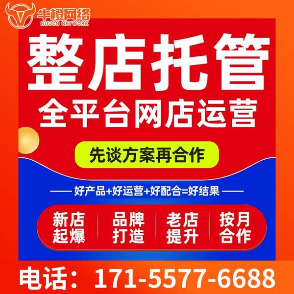 嵊州电商代运营