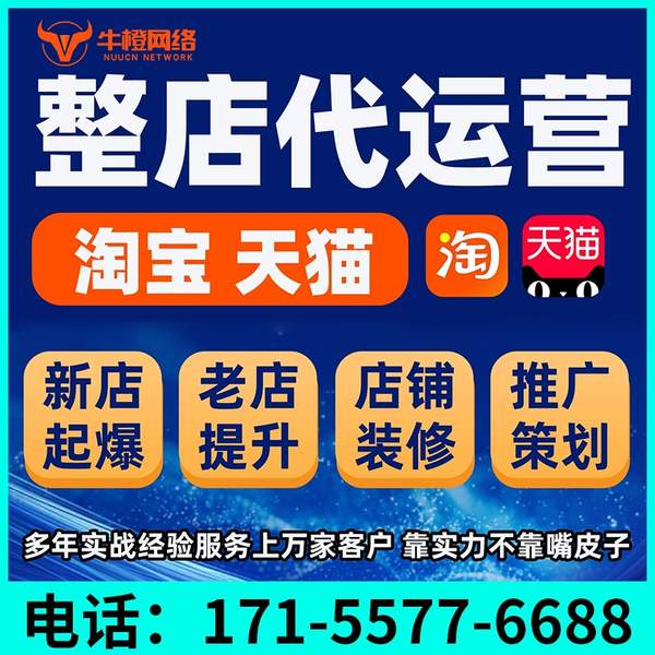 嵊州电商代运营