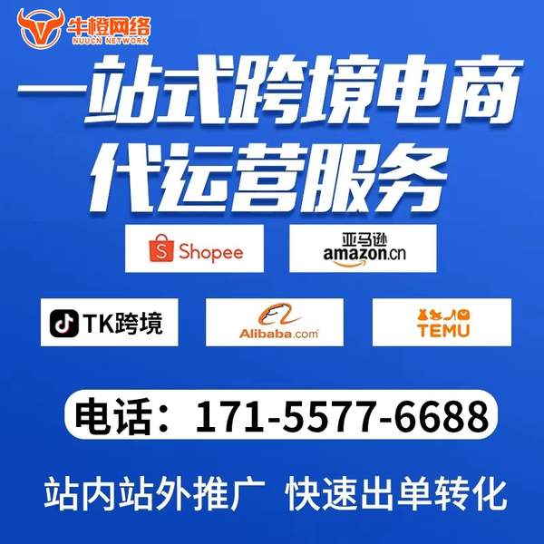 嵊州电商代运营