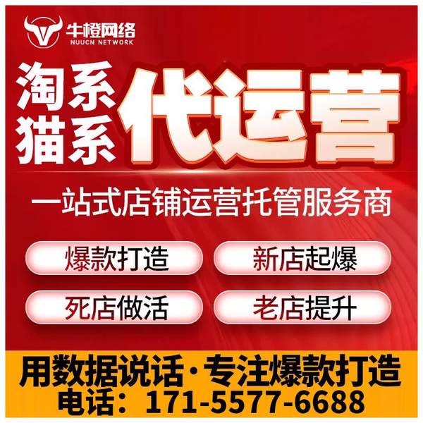 嵊州电商代运营